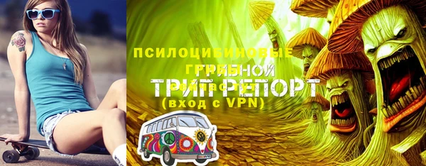 тгк Арсеньев