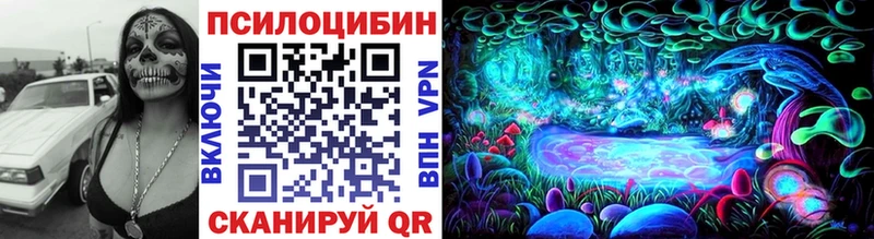 где купить   Кологрив  Галлюциногенные грибы Cubensis 